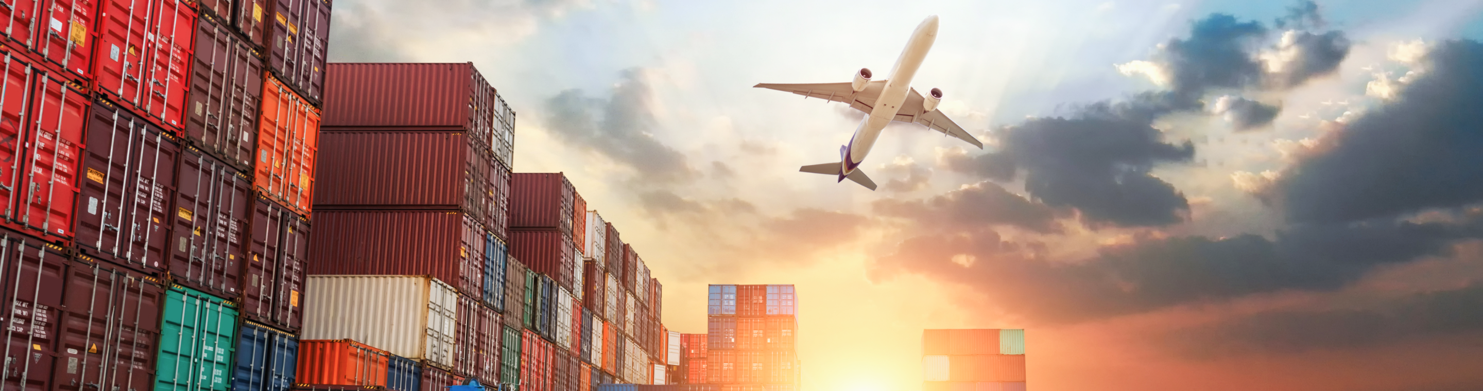 1772603424550222.png Image+Background-3.png