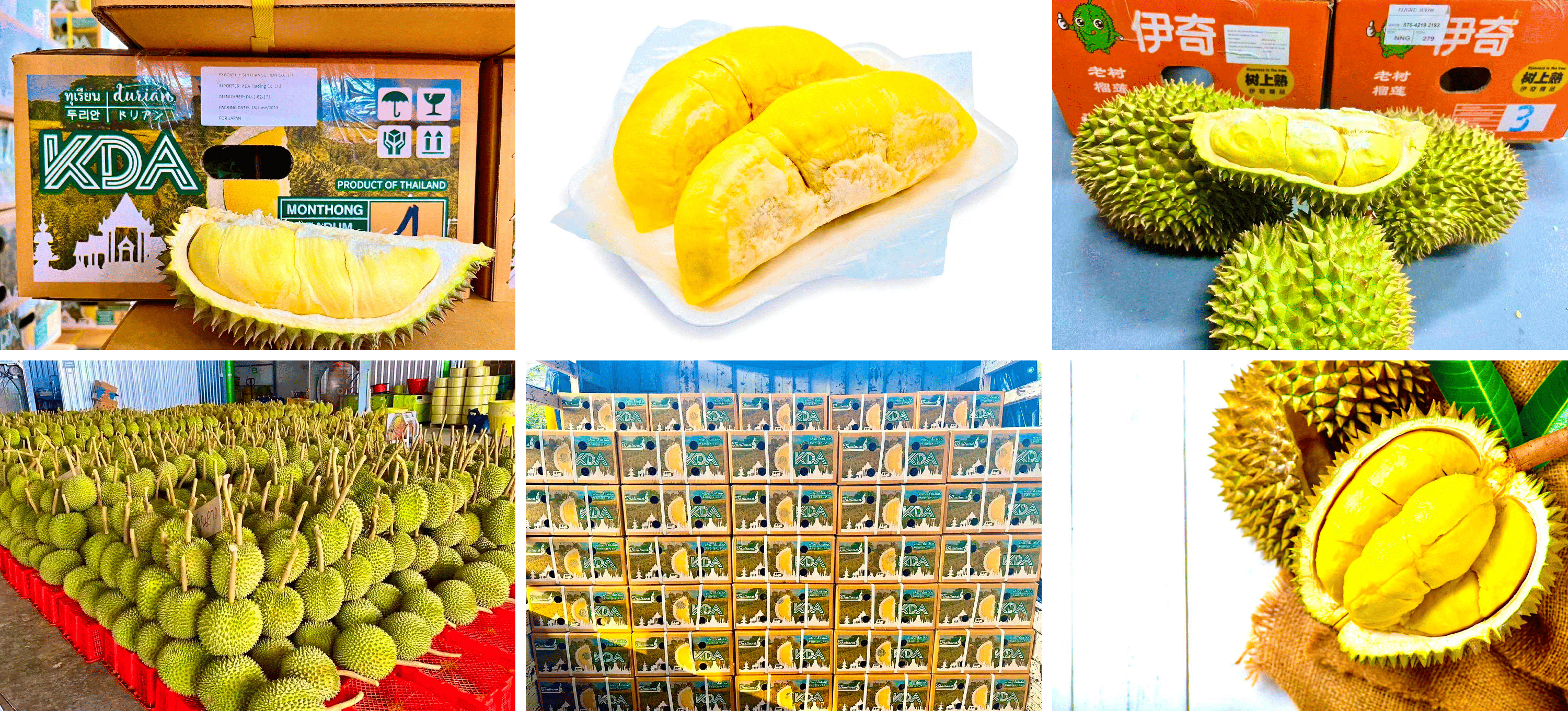 Group 44 (1).png